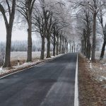 Allee_DrmedJensFriebel_P1180028_verkleinert