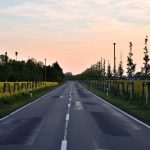 Allee_JürgenSchröder_0887_00007 (1)_verkleinert