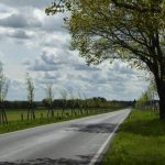 Allee_SiegmundPetereit_P1100569_verkleinert