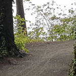 cropped-Header-15_neu